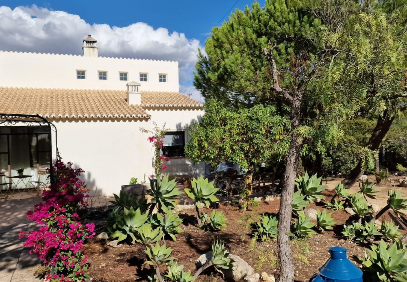 Villa in Carvoeiro - Casa Zambujeiro